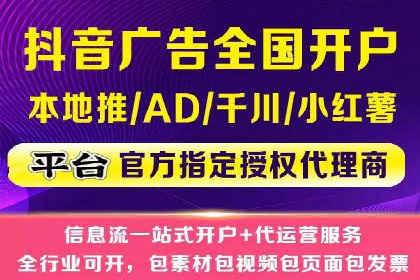 谷歌SEM案例研究：数据分析与效果评估